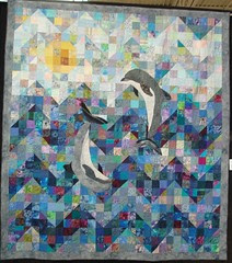 dolphins