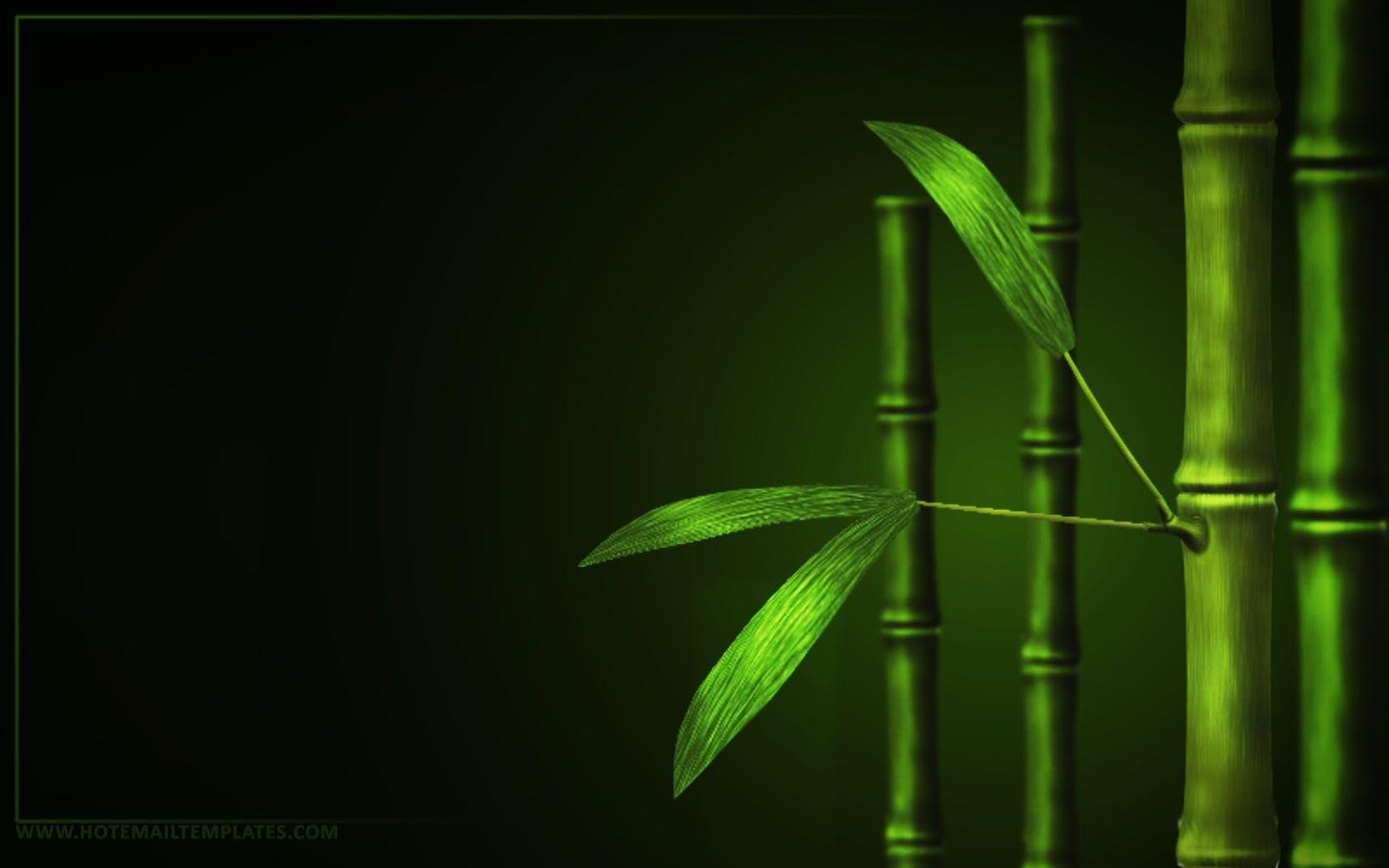 Wallpapers Bamboo - Wallpaper Cave