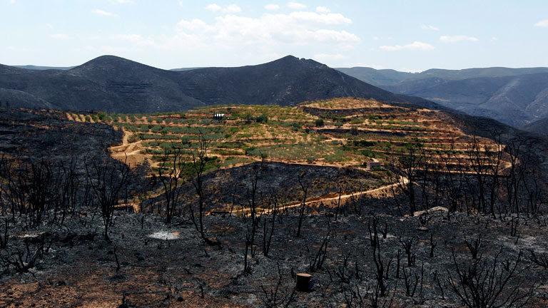 El incendio de Valencia, un desastre medioambiental, económico y ecológico