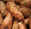 sweet taters sweet taters