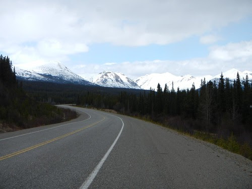 Everyday for 7 Weeks - Day 21 - Whitehorse to Dease Lake