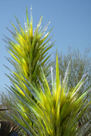 Chihuly0008_PS