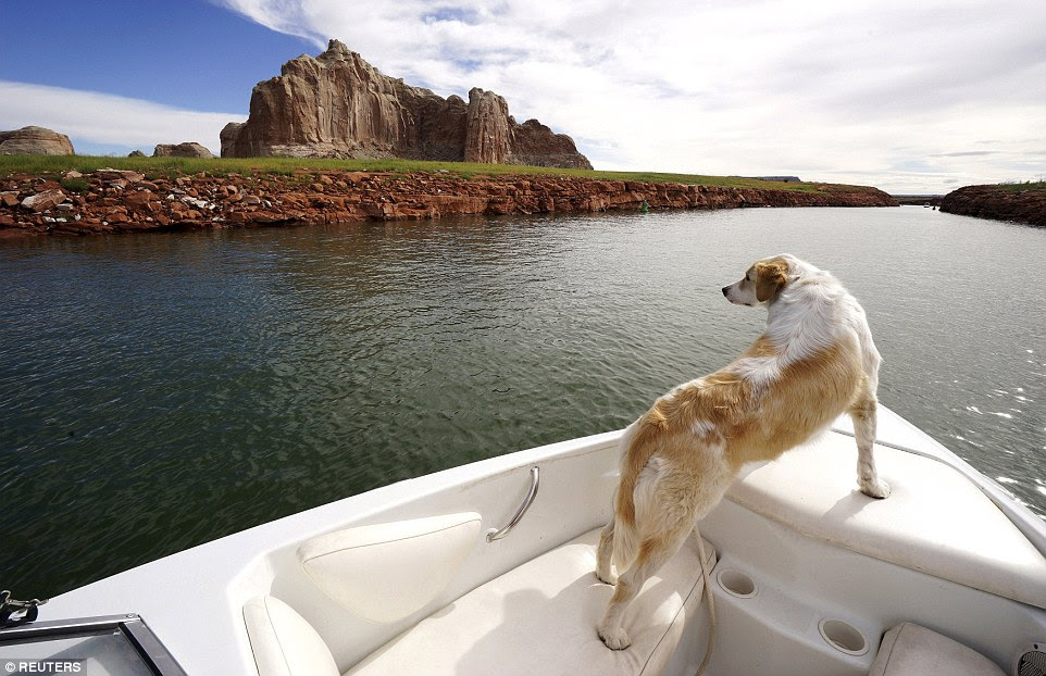 Leisurely: A power boat cruises with Phoebe the dog on the bow, through a cut below Castle Rock in Lake Powell