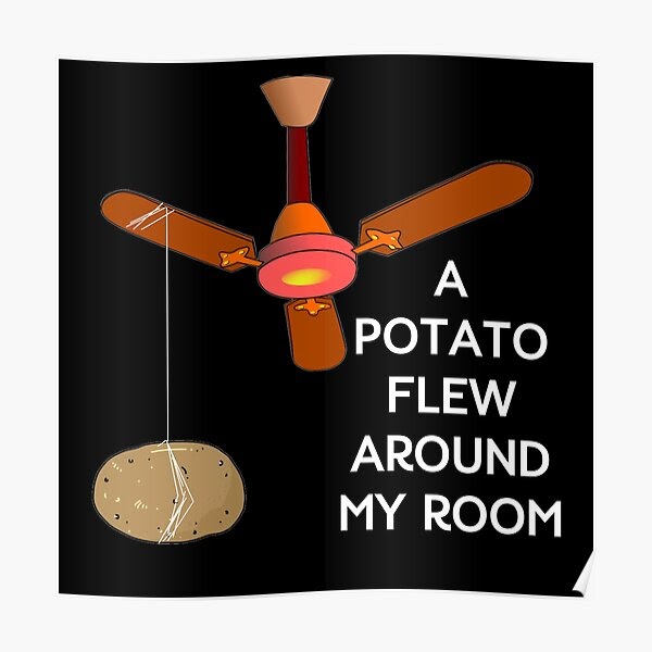 A Potato Flew Around My Room : Potato. | Teespring : This took long to