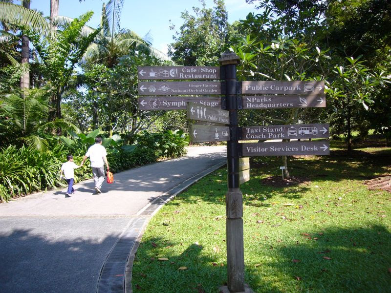 Pic 10