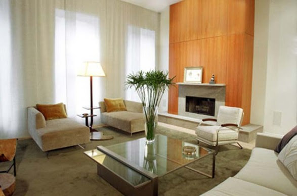 First Apartment Decorating Ideas: How To Decorate Your First ...