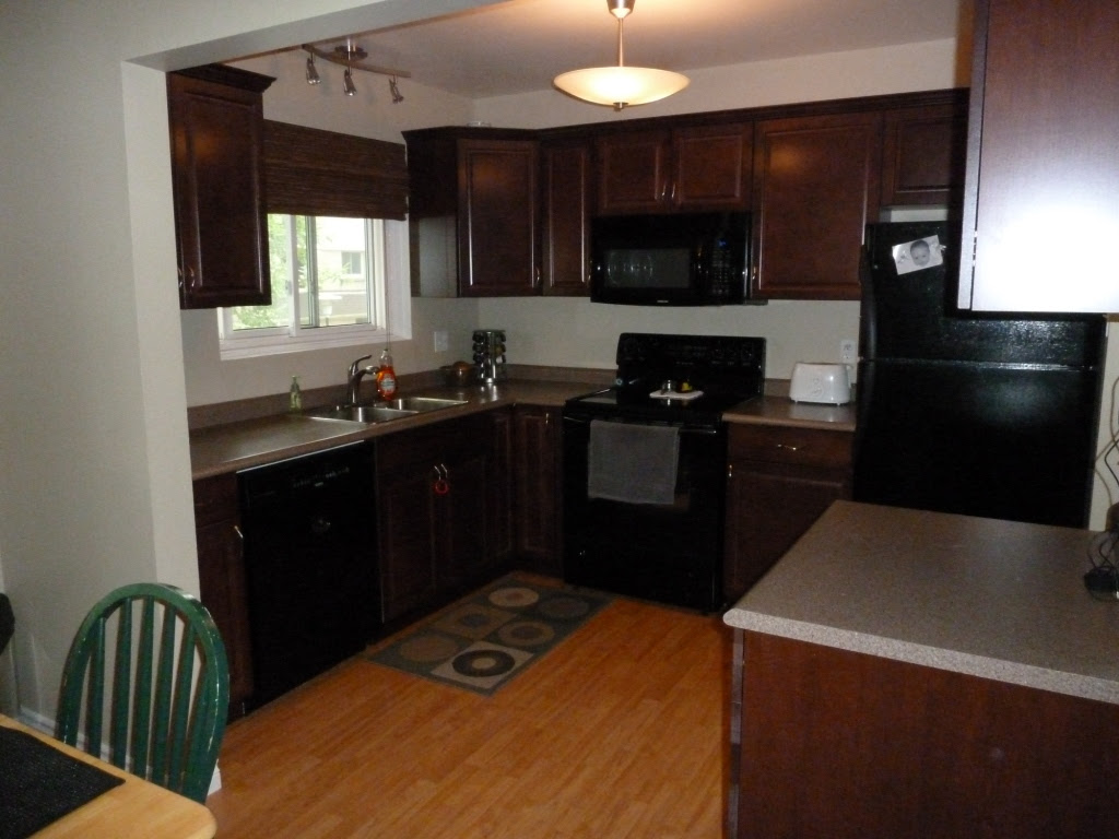 Kitchen Colors With Black Cabinets Kitchen Sohor