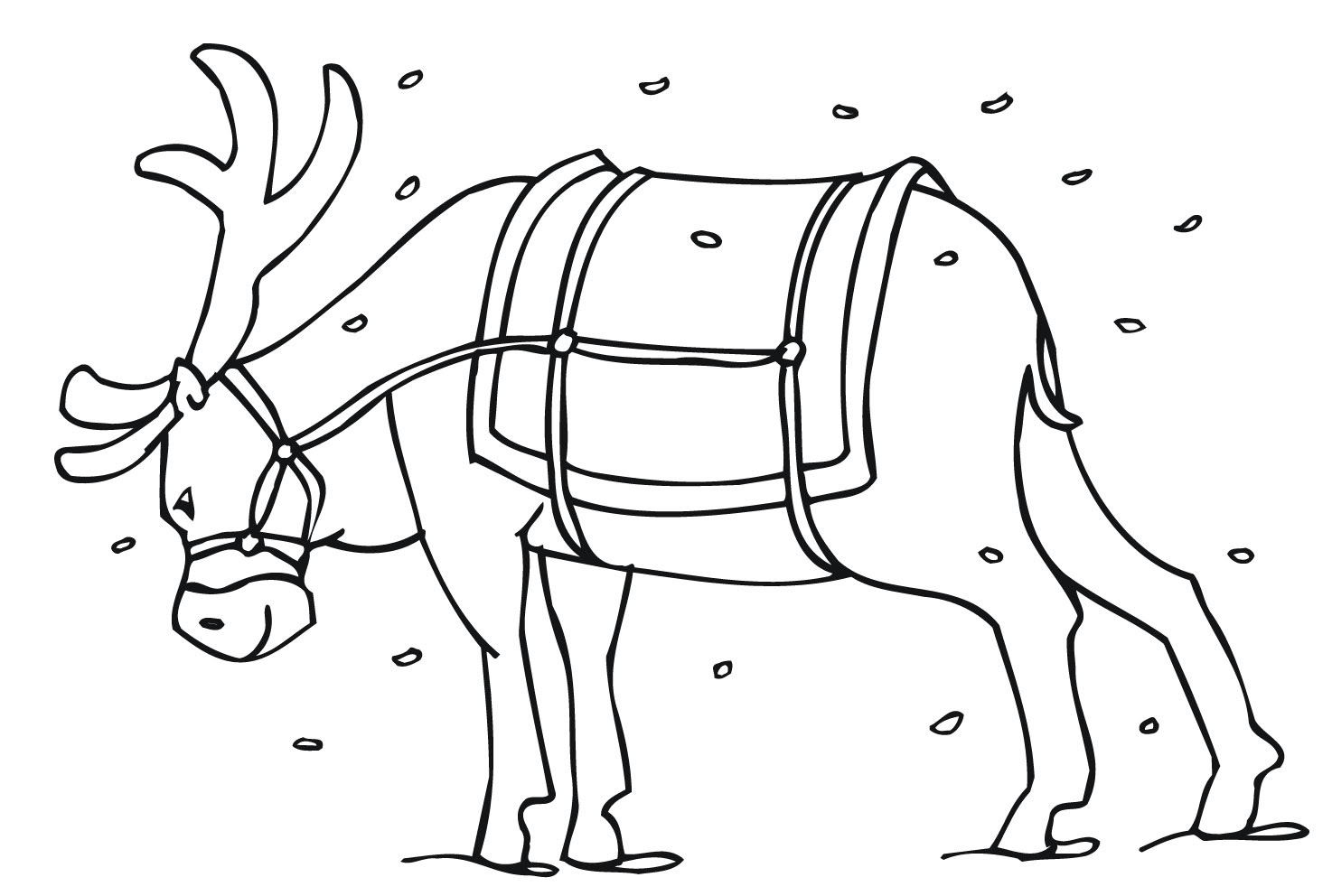 Free Printable Reindeer Coloring Pages For Kids Free Printable Reindeer Coloring Pages For Kids