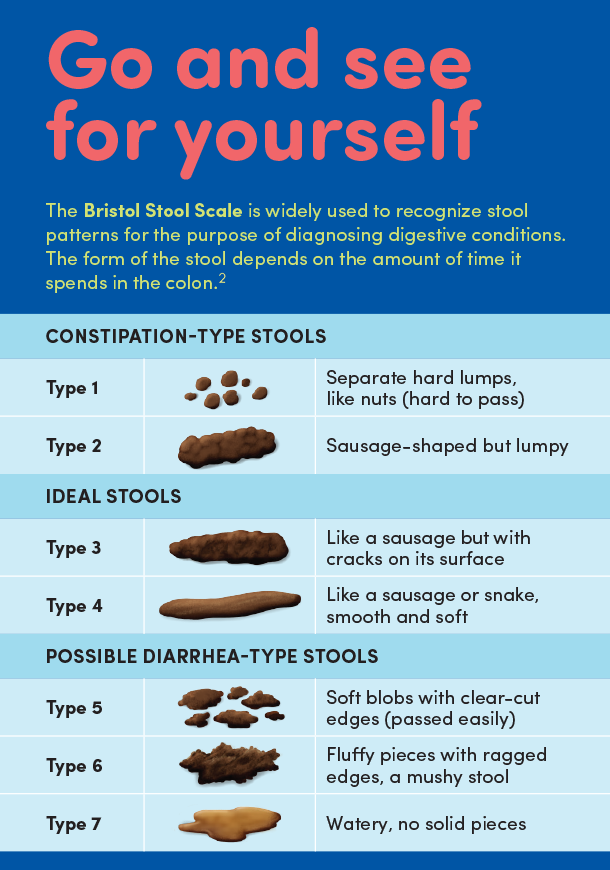 Bristol Stool Chart Poster - Stools Item