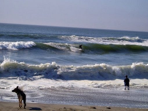Surfing at Linda Mar Beach, Pacifica