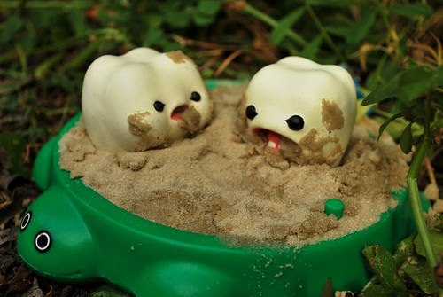 "Yuck, sand doesn't taste very good."