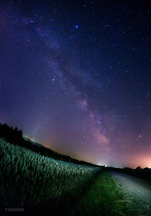 すべての花の画像 無料印刷可能壁紙 星空 天の川