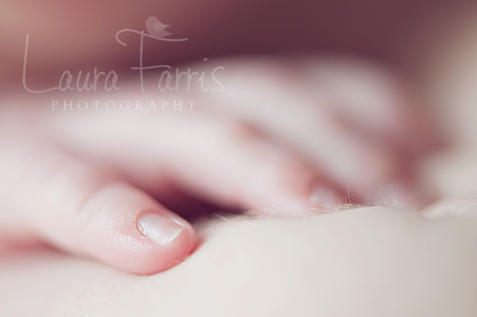 newborn photography Idaho