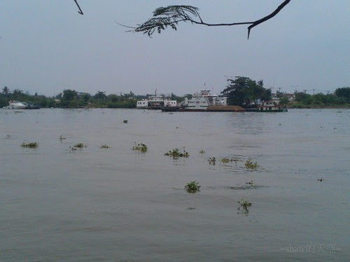 IMAG0318.jpg