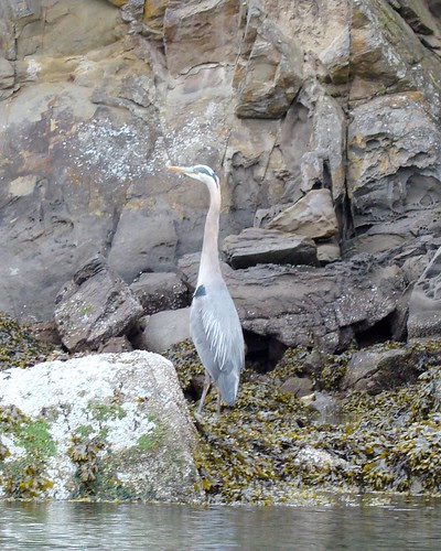 2008-06-08 Coal Island 004