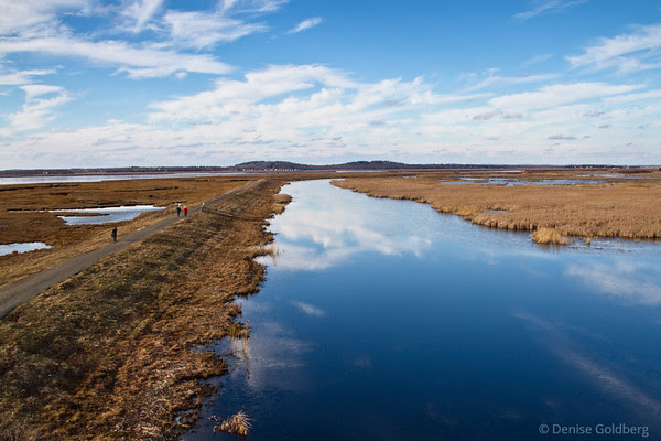 inland side of the Parker River National Wildlife Refuge