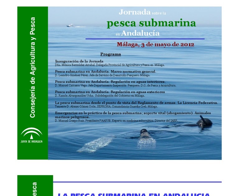 Junta De Andalucia Licencia De Pesca Submarina