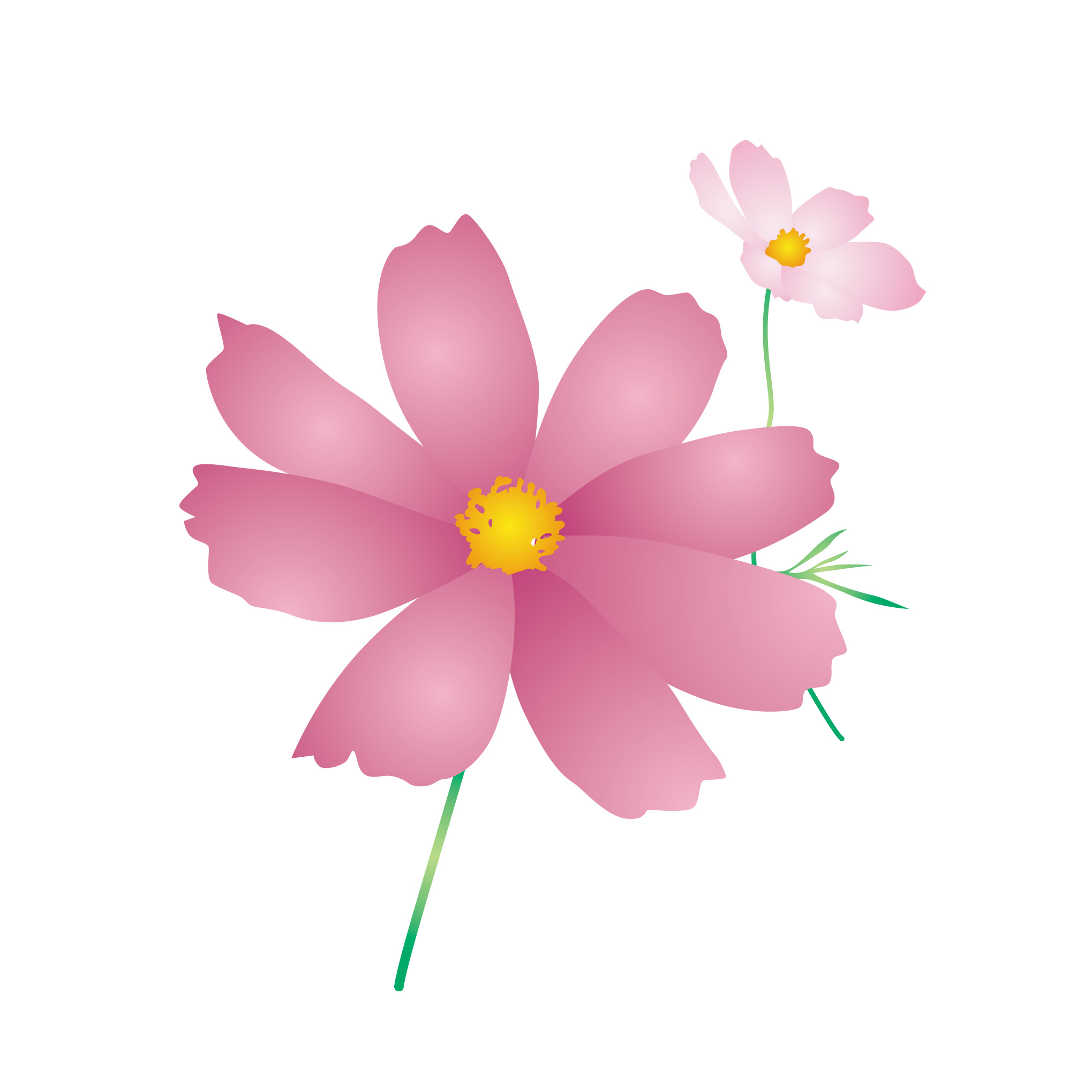 美しい花の画像 ベスト50 9月 花 イラスト