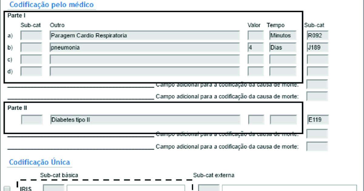 Booklet Icd 10 Code For Pneumonia With Influenza