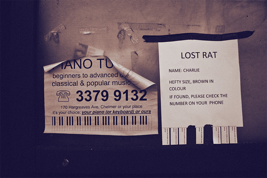 notice board