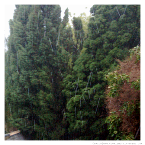 hailstones© by Haalo