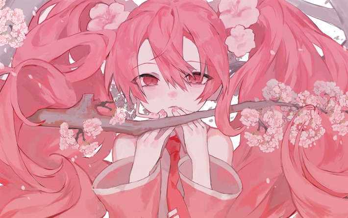 10+ Aesthetic Anime Sakura Wallpaper - Tachi Wallpaper