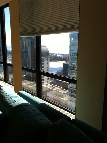 view