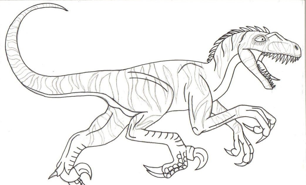 Kolorowanki Jurassic World Do Druku : Free Velociraptor Coloring Page