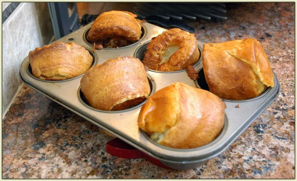 Yorkies