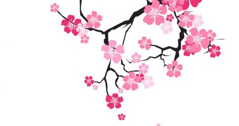 Featured image of post Easy Cherry Blossom Scenery Drawing / Paint by numbers kit (or even your own.