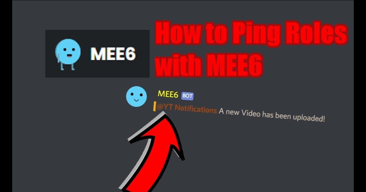 mee6 rank bots