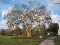 Free Image Hosting at www.ImageShack.us