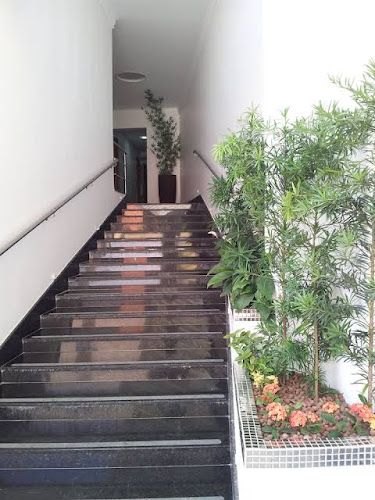 Av. Paraguassu Paulista, 84 - Vila Santa Teresa, São Paulo - SP, 03555-010, Brasil