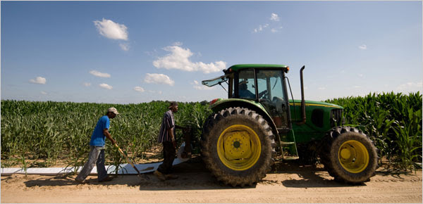 Tractors need fuel, and fuel costs money Man driving tractor