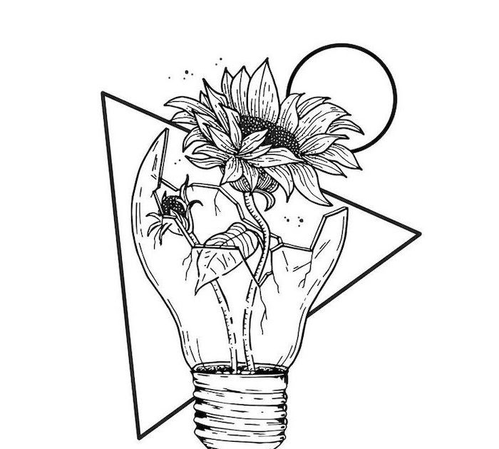 Aesthetic Coloring Pages Plants / Daisy Flower Drawing Simple Daisy
