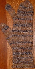 Lindsey's mitten