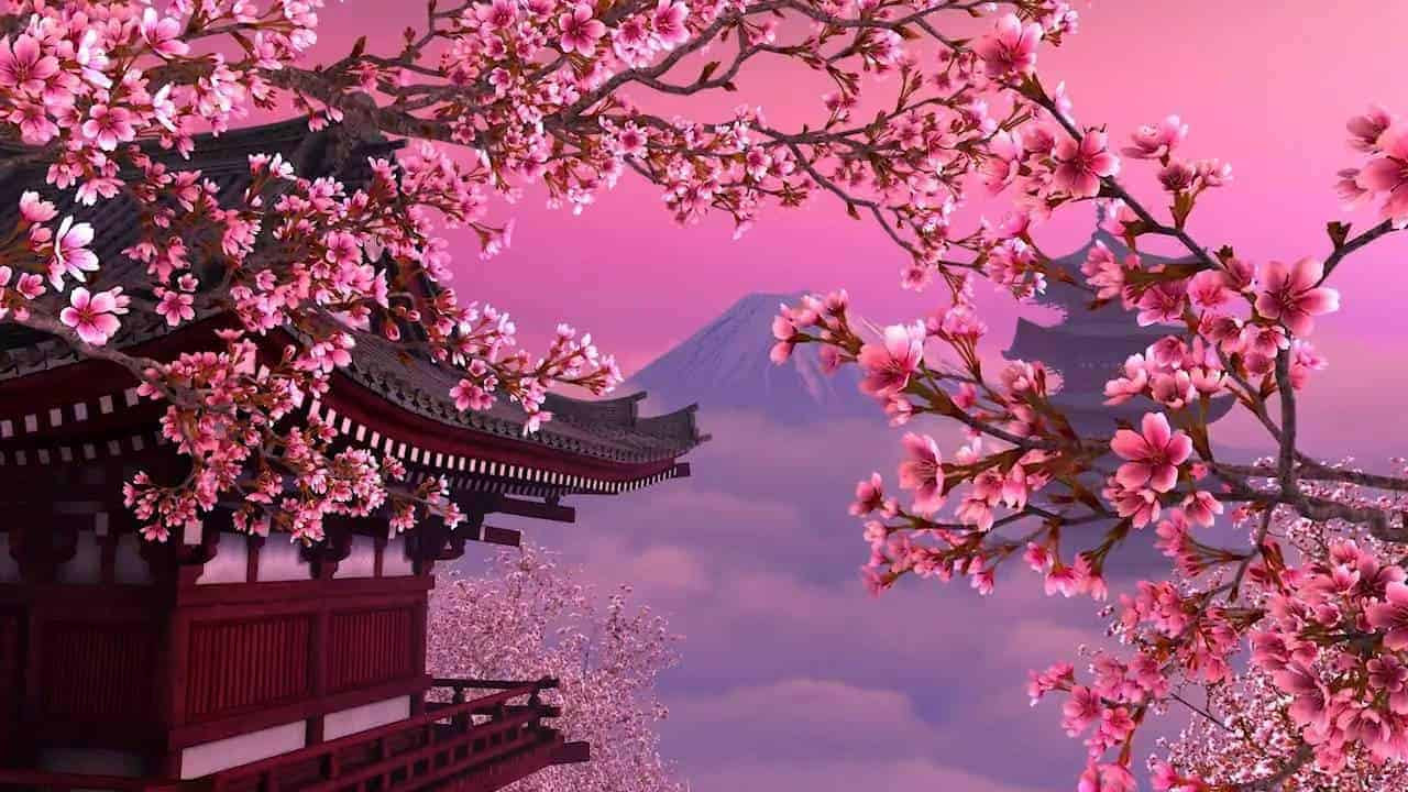 Terkeren 26+ Wallpaper Bergerak Bunga Sakura Gugur - Gambar Bunga HD