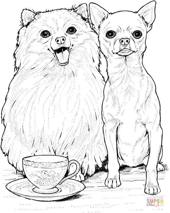 Download 268+ Canaan Dog Coloring Pages PNG PDF File