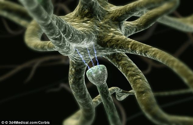 Illustration of synapse signalling of cells in the central nervous system. 