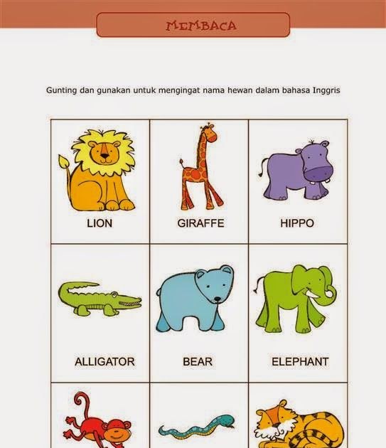 Cerita Bahasa Inggris Tentang Zoo - H Contoh