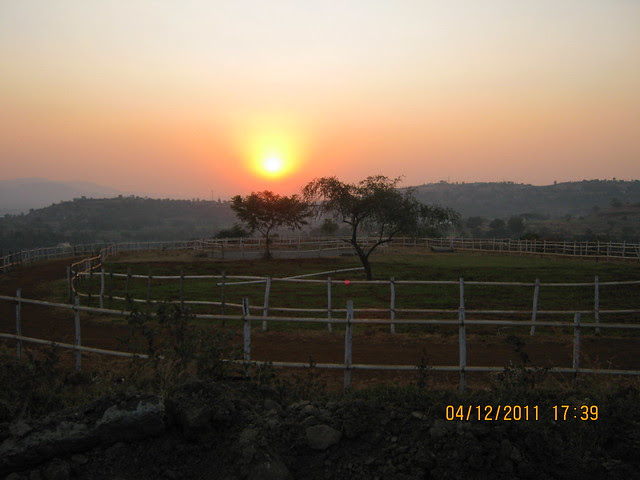 Horse Riding - Visit to Paranjape Schemes' Forest Trails, Bungalows, 2 BHK & 3 BHK Flats at Bhugaon, Pune 411 042
