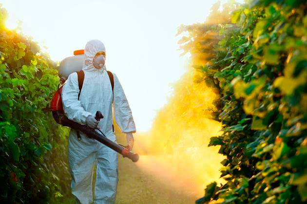Resultado de imagen para agroquimicos enferman