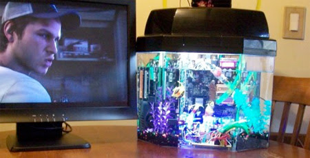 Aquarium Computer Aquarium Computer
