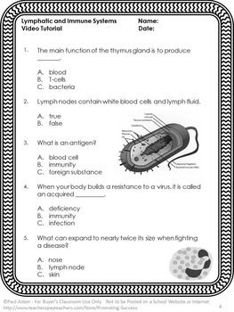 31 Cells Of The Immune System Student Worksheet Answer Key - Worksheet