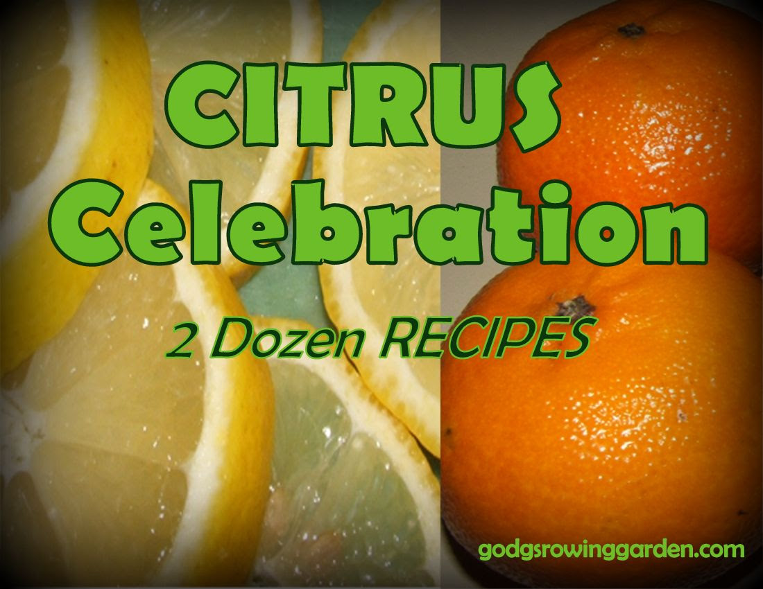 photo BlogCitrus_zps2lvelt5t.jpg