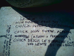 Chuck Norris @ Sottomarina (VE)