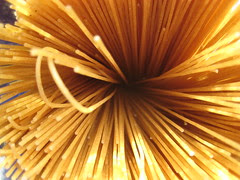 Noodle Flare - 13/365