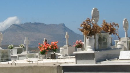 Polyrhinia cemetery