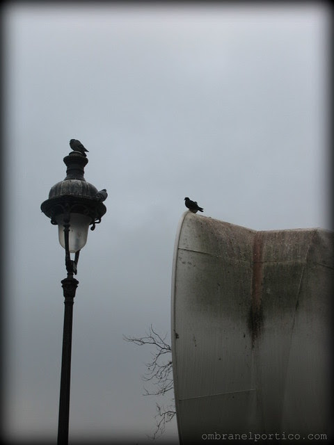 IMG_9200-001