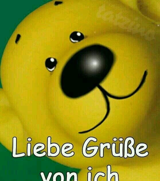 Lustig Hallo Bilder Für Whatsapp Lustige Worte